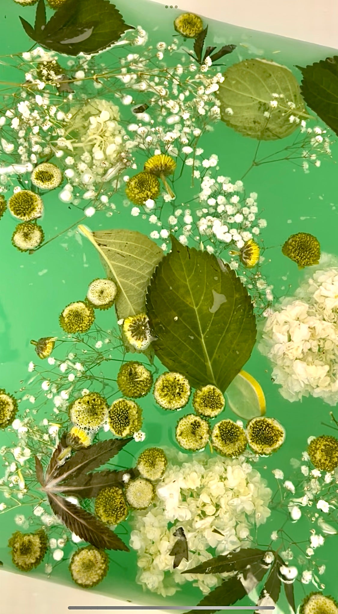 The Future Is Green - Superfood Blend